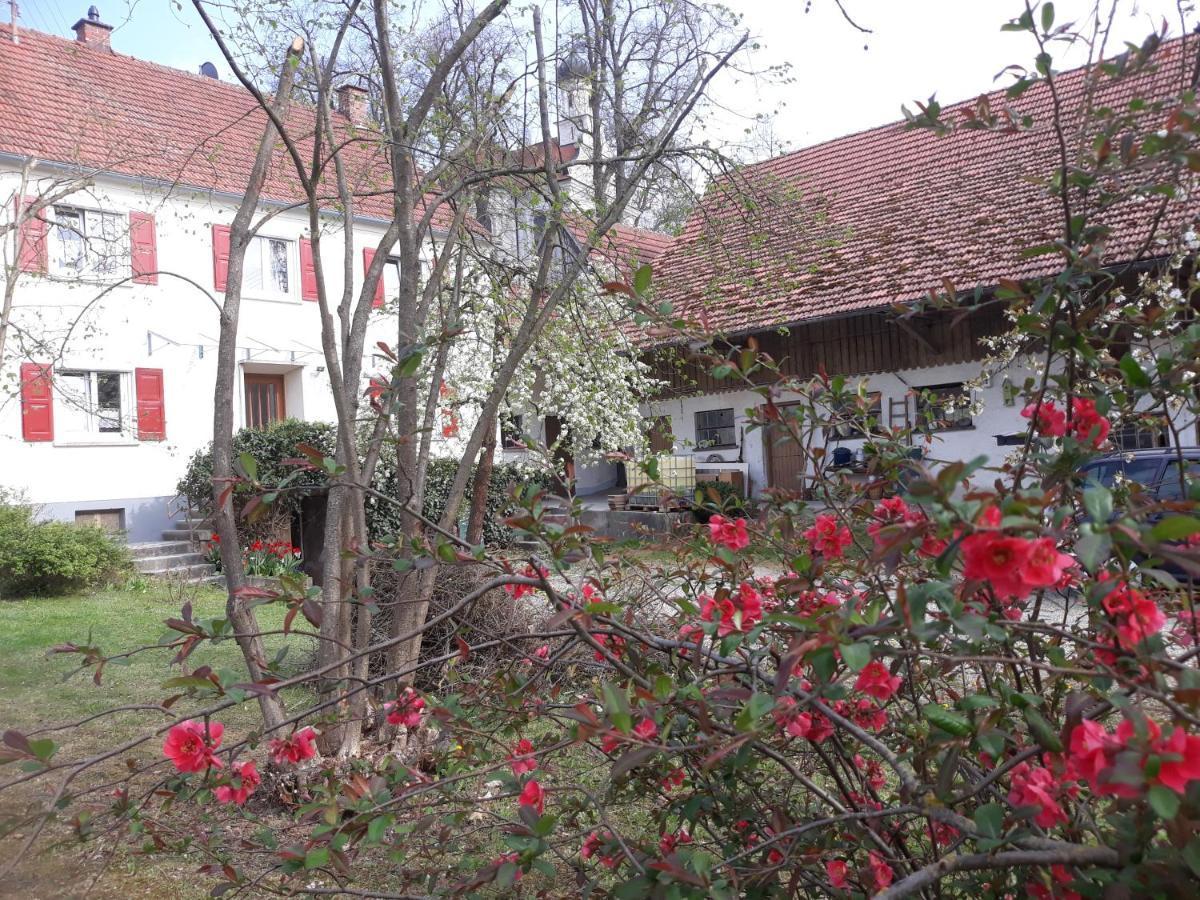 Zum Scheunenhof - Bauernhaus Ichenhausen Kültér fotó