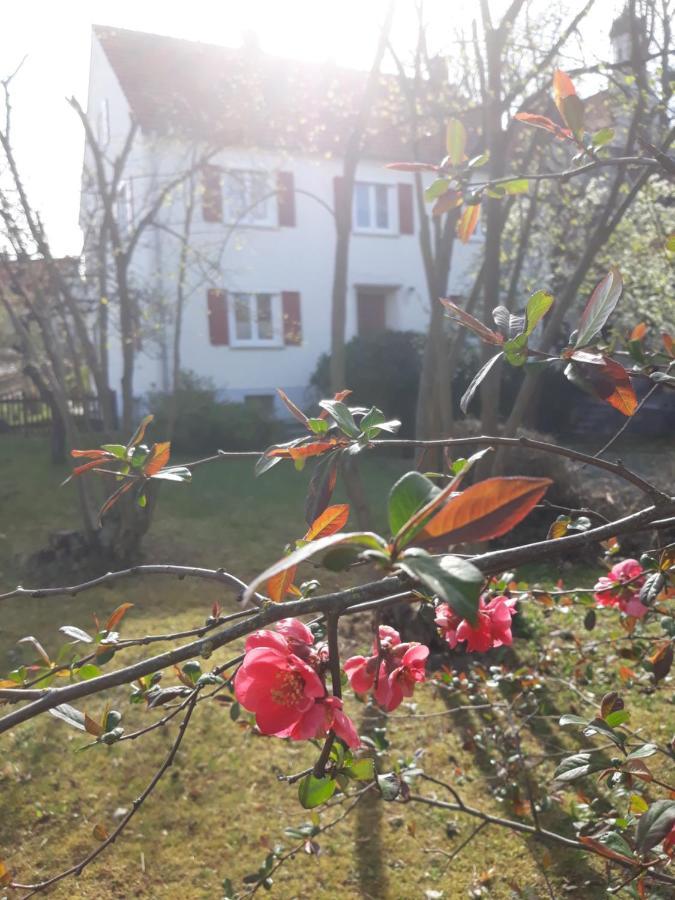 Zum Scheunenhof - Bauernhaus Ichenhausen Kültér fotó